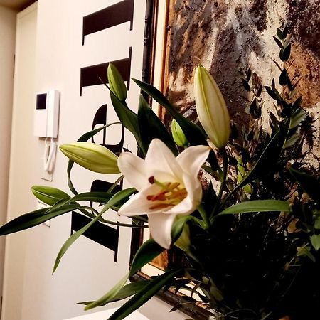 Apartament Sky Loft Nuovissimo Vicinanze Metro Turyn Zewnętrze zdjęcie