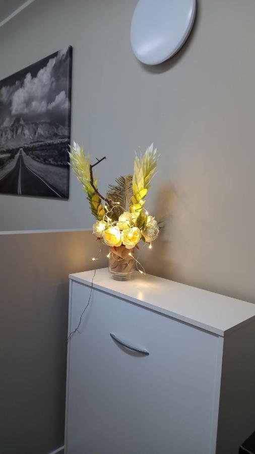 Apartament Sky Loft Nuovissimo Vicinanze Metro Turyn Zewnętrze zdjęcie